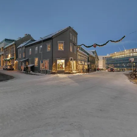 Apartment Bjoerk Tromso - A Warm In The Heart Of The Lii